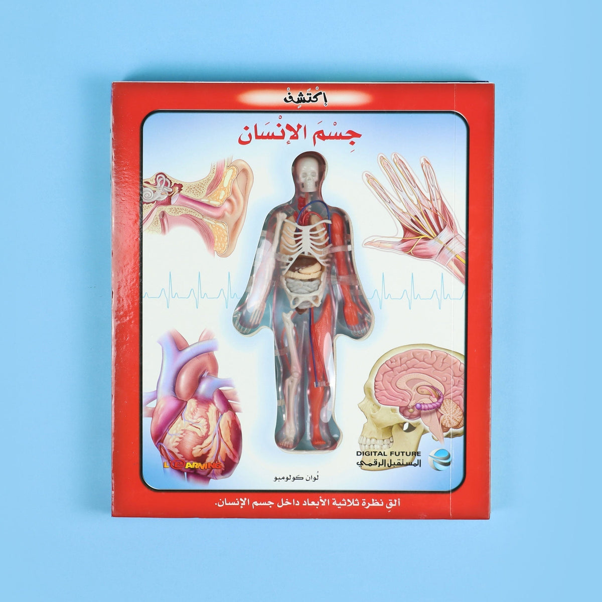 إكتشف جسم الإنسان
