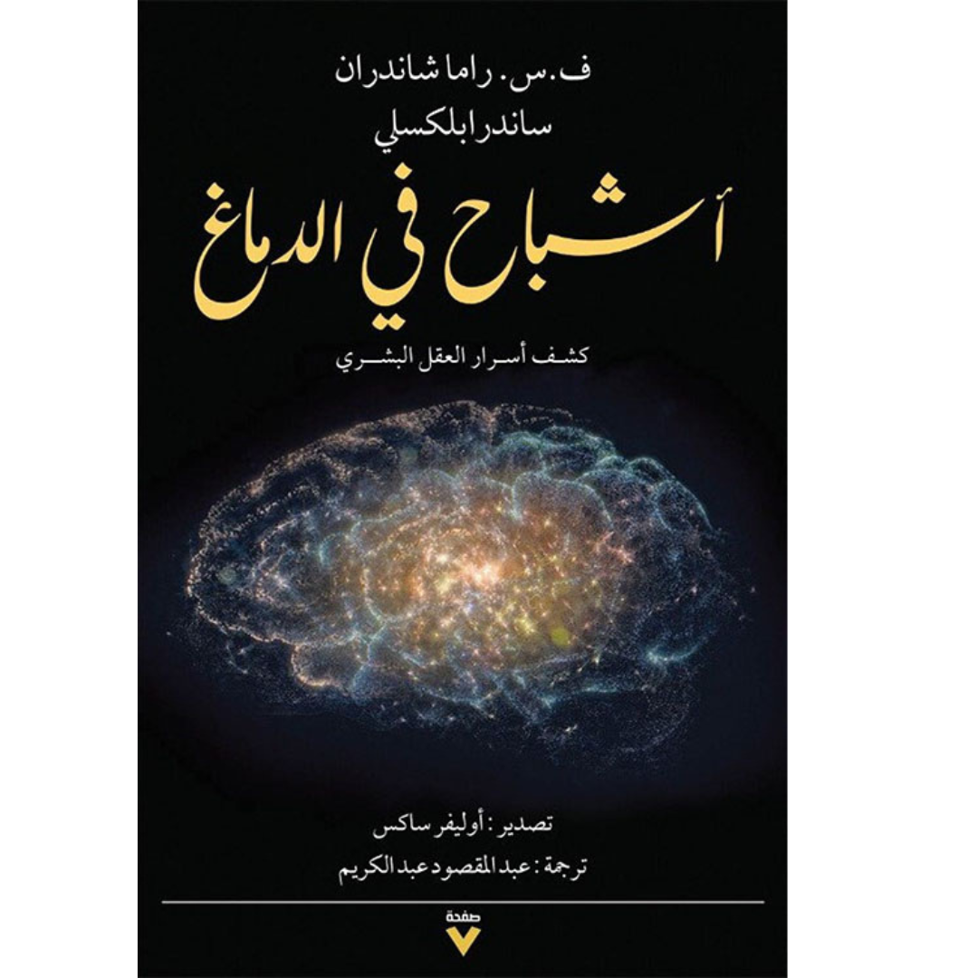 أشباح في الدماغ
