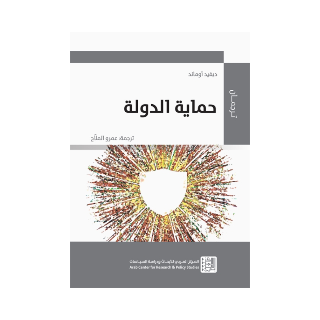 حماية الدولة