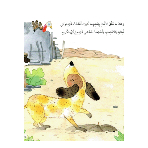 الفرصة الأخيرة