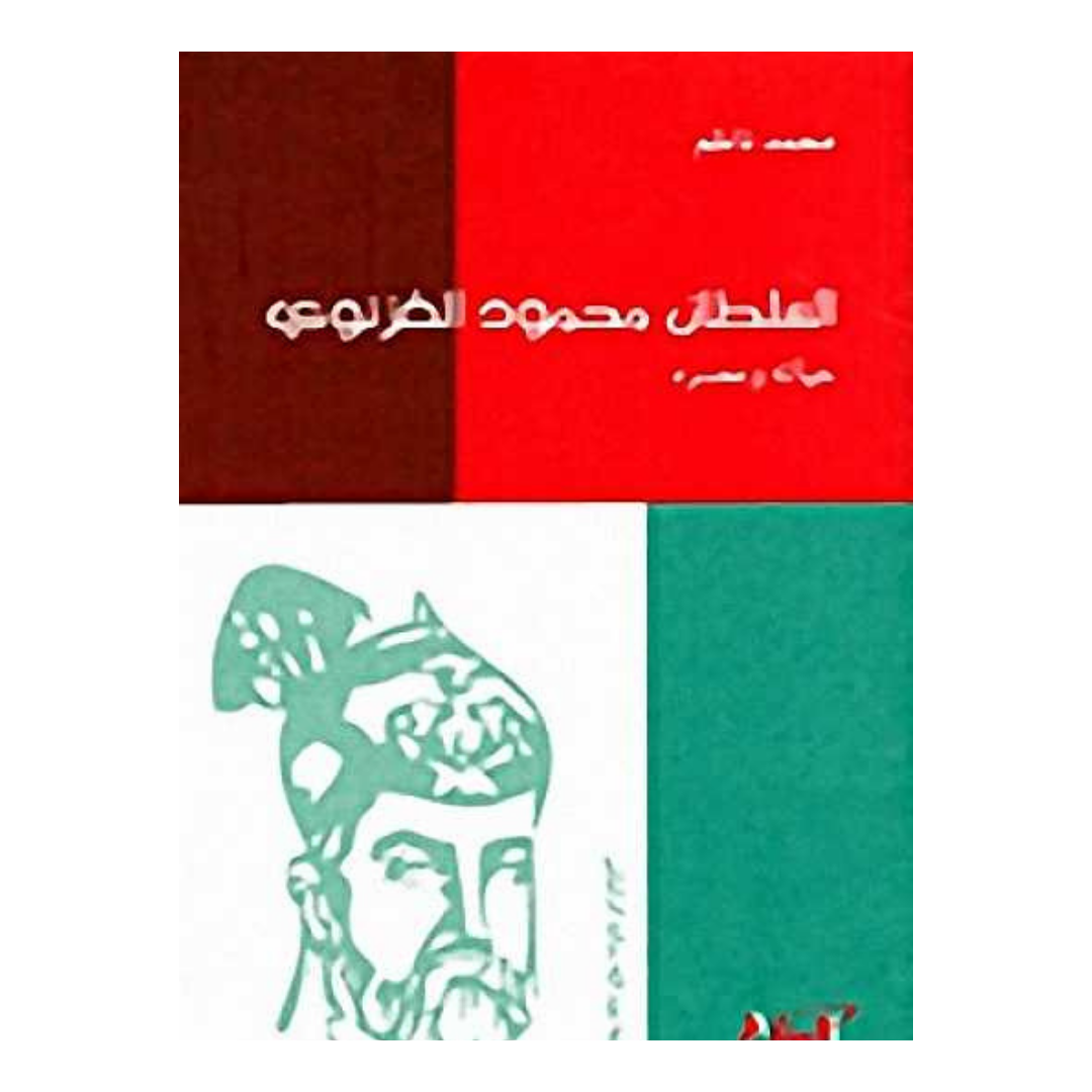 السلطان محمود الغزنوي