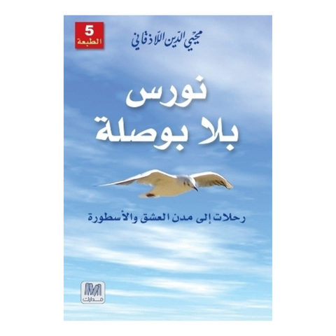 نورس بلا بوصلة