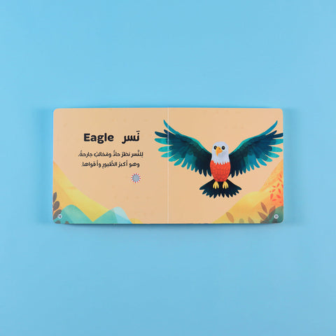 كتابي المسموع: أصوات الحيوانات 🐾🔊
