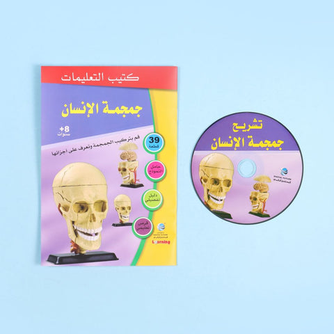تشريح الجمجمة