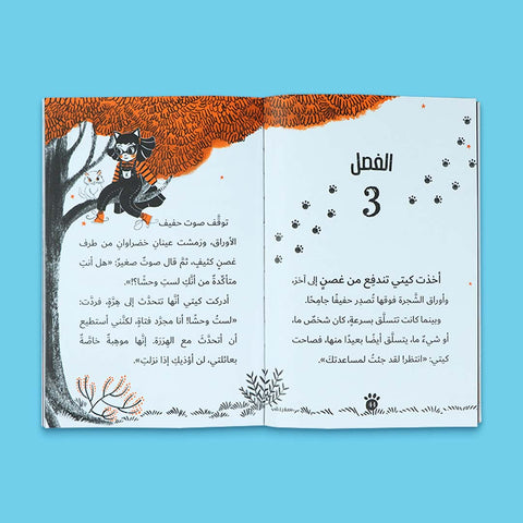سلسلة مغامرات كيتي