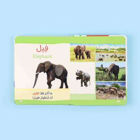 كتاب مونتيسوري الأول: الحيوانات باللمس